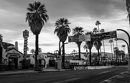 Black and White Street Photography Image of Palm Trees and Theatre on Palm Canyon in Palm Springs, California
