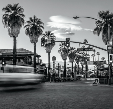 image of palm springs